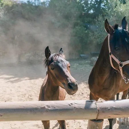 Leano Agriresort Piazza Armerina